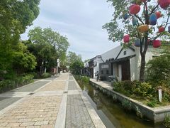 -吴越荣记苏州菜·松鼠桂鱼100%活鱼现做(斜塘老街店)