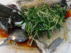 -凤厨顺德水乡凤味馆(大良锦龙路店)