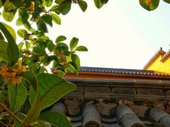 -宝通禅寺