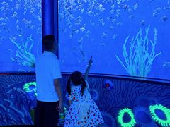 -沈阳海洋探索中心