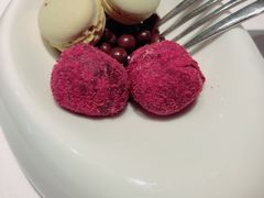 -蝶舍·MAISON PAPILLON