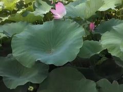 -九华山酒店温泉