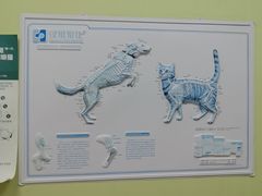 -瑞鹏宠物医院·夜间急症·心超·猫科(祖庙分店)