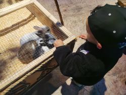 -酷嗒动物文化乐园(cutezoo西溪乐天城店)