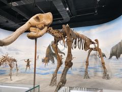 -辽宁古生物博物馆