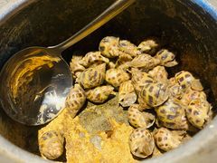 胡椒花螺-雷泰泰台式胡椒虾(滨江金铂湾店)