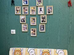 -严国平动物医院(德政总院)