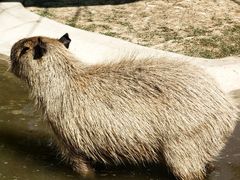 -鄂尔多斯野生动物园