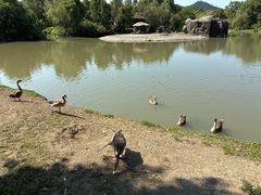 -宁波野生动物园