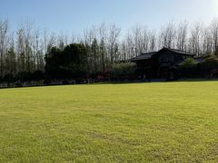 -合肥滨湖国家森林公园