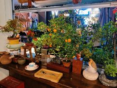 -芙蕾哥哥souffle