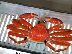 -蟹道乐(道顿堀本店)