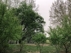 -仁和公园(顺义区)