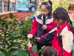 -金豆子幼稚园