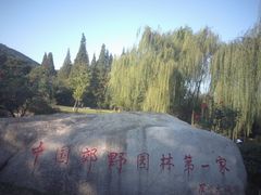 -习家池