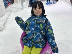 -世界之窗阿尔卑斯冰雪世界