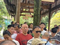 -中国大熊猫保护研究中心雅安碧峰峡基地