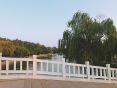 -莱西月湖公园