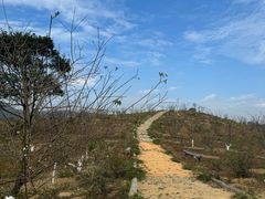 -马峦山郊野公园