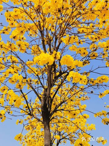 这确实是个带人小孩,春节假期值得去的好地方