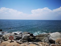 -广东惠东海龟国家级自然保护区