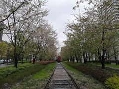 -新天地活力PARK