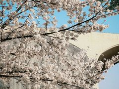 -龙美术馆(西岸馆)