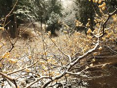 -香山公园-东宫门售票处