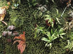 -味之绝热血美蛙鱼火锅(中坝店)