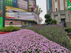 -人民解放纪念碑