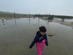 -红树林天天赶海