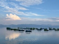 -抚仙湖禄充风景区