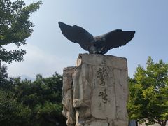 -北京鹫峰国家森林公园