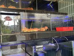 -真浪花园海鲜餐馆