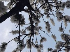 -新奥购物中心
