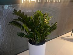 -凤凰湘语(浦东旗舰店)