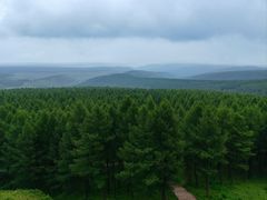 -塞罕坝国家级自然保护区