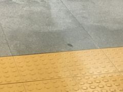 -商丘站
