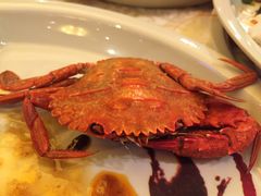 -东方雅典水疗美食汇(金海岸大厦店)