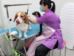 -宠颐生中康贝怡动物医院