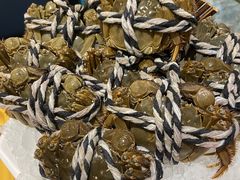 -一绪に寿喜烧自助(世茂广场店)