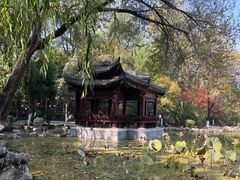 -莲湖公园