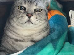 -北京赛佳动物医院