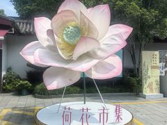 -杭州萧山国际机场