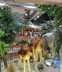 -鲁比猴非洲探索部落(喜盈门店)