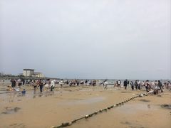 -养马岛旅游度假区