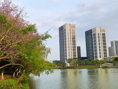 -怡海公园(桂城街道)