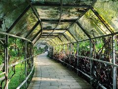 -莲花山公园