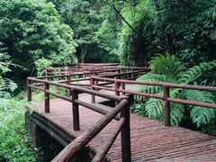 -赤水丹霞旅游区·佛光岩