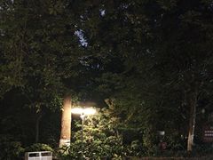 -成都市活水公园